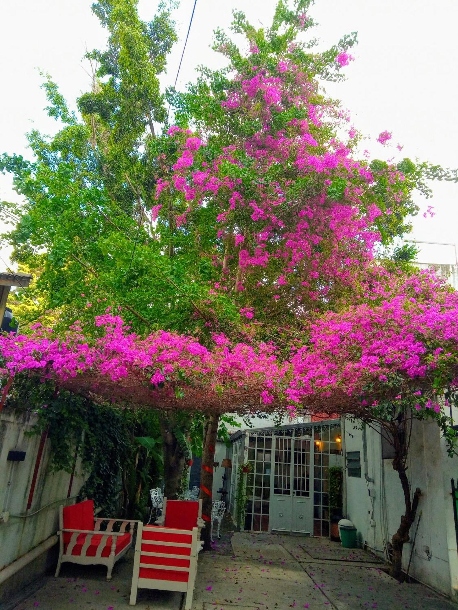 Hotel Boutique Casablanca Adrogue Bagian luar foto